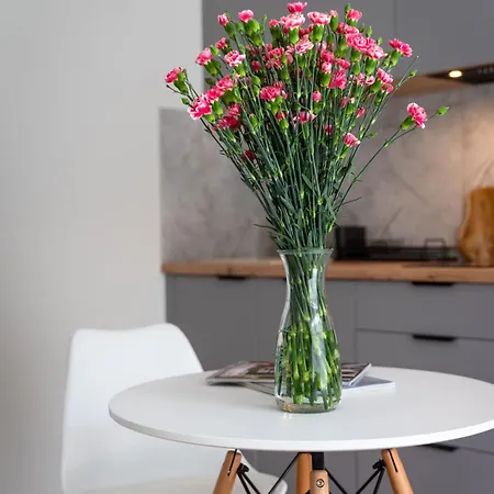 Apartment Legnicka With Ac - Properunit Wroclaw